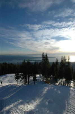 View from Grouse Mountain.jpg