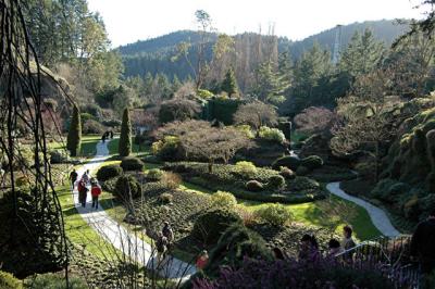 Butchart Gardens Too Cold for Flowers.jpg