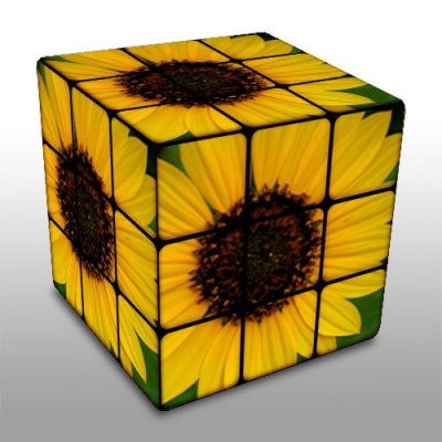 rubik sunflower.jpg