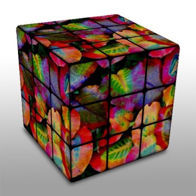 rubik leaf collage.jpg