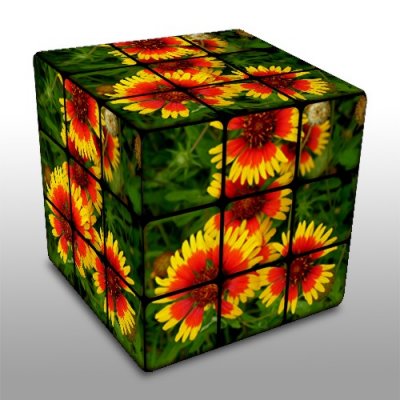 rubik red flower.jpg