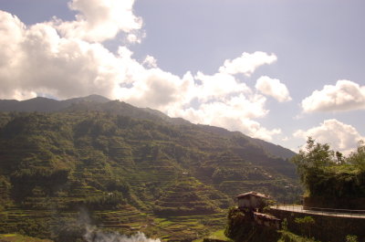 rice terraces