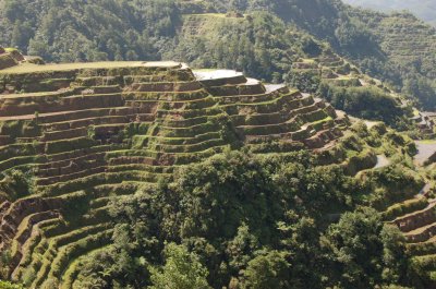 banawe rice terraces