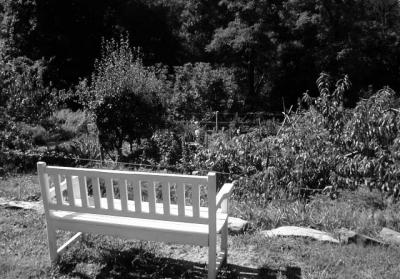 bench