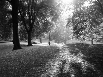 central park