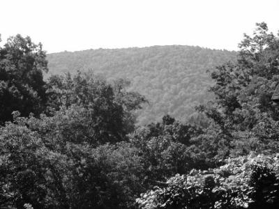 hills