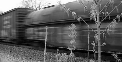 train