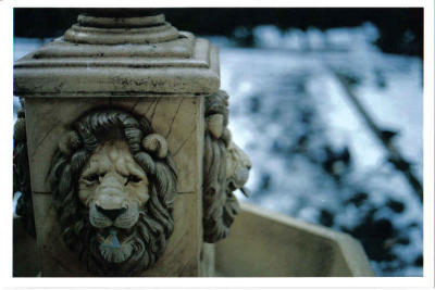 lion heads