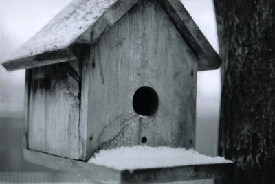bird house