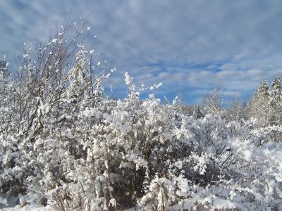 fluffy snow 2005