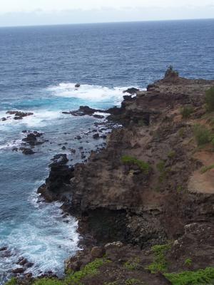 rocky coast