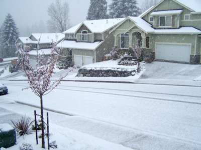 view from the front steps