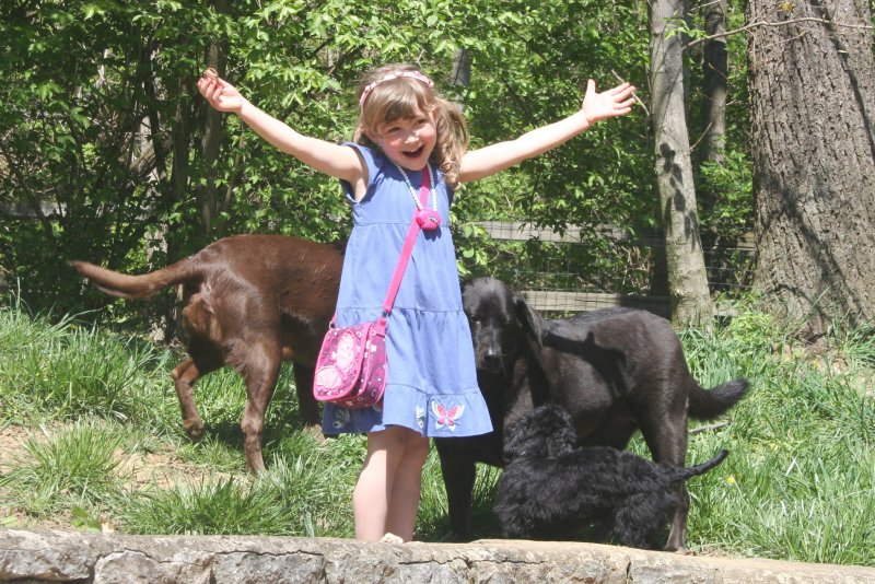 ella with the dogs