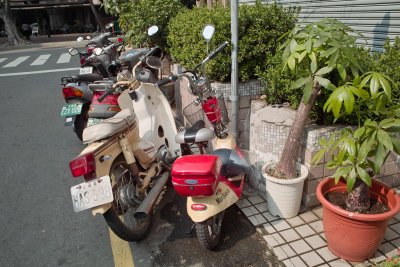 Scooters&Plants