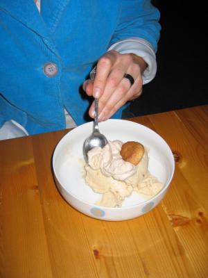 'Bitterkoekjes' icecream with 'kaneelslagroom'