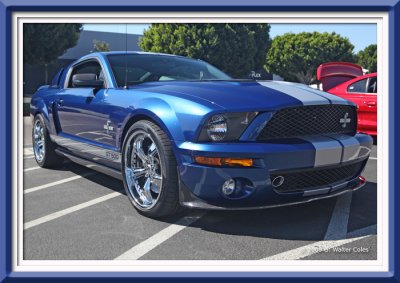 Mustang GT500 Cobra.jpg