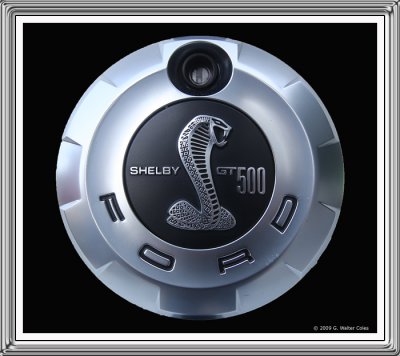 Mustang 2000s Shelby Cobra GT 500 Emblem.jpg
