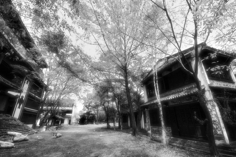 Tang Dynasty City