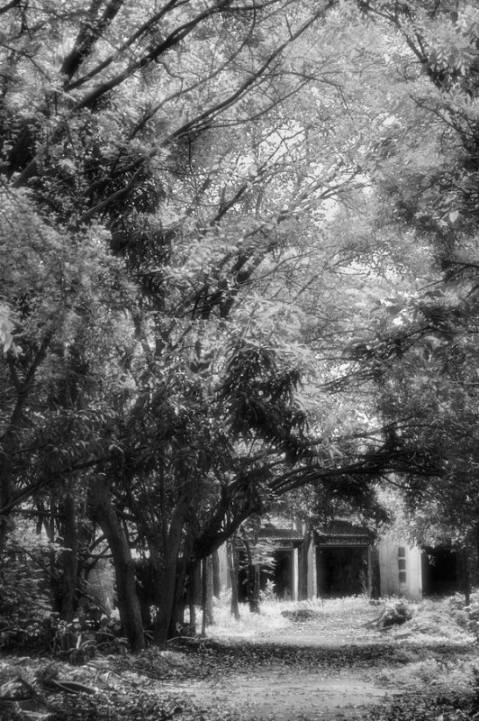 Tang Dynasty City