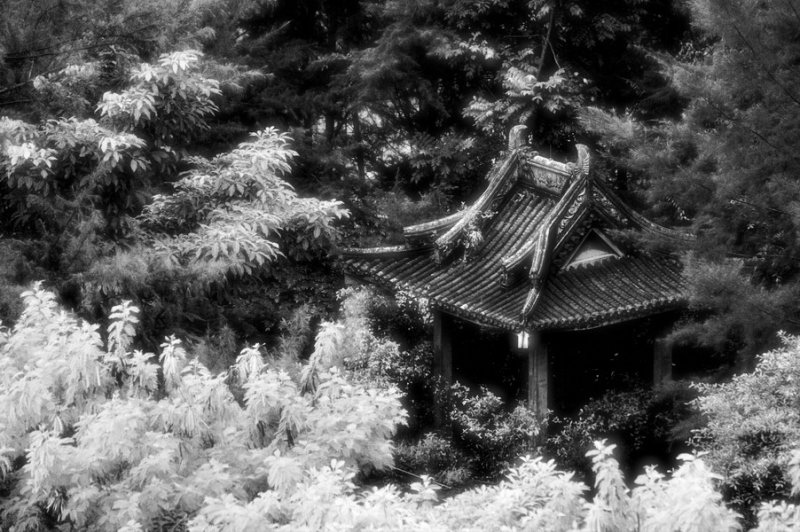 Sanctuary