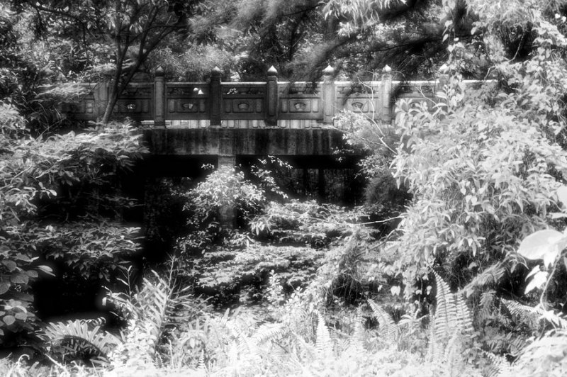 Pathway