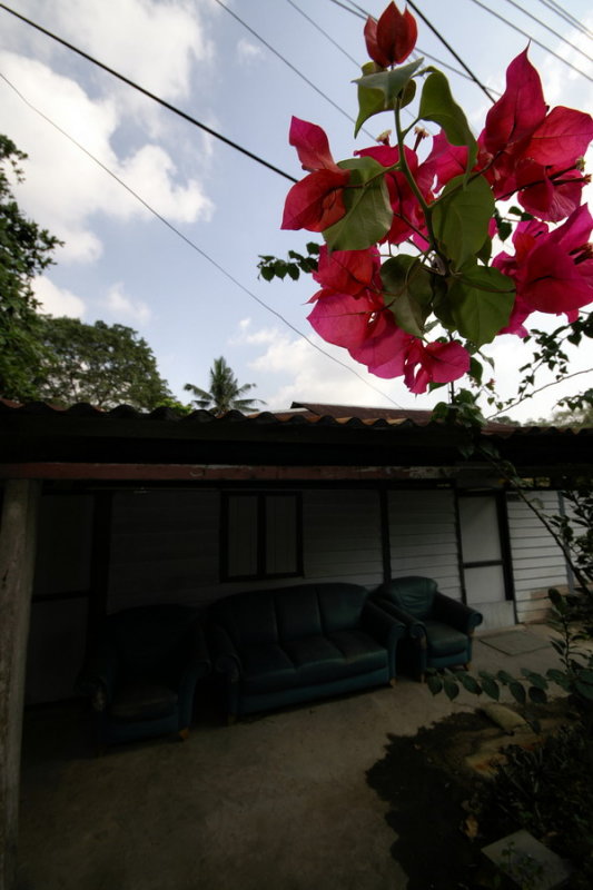 Kampung Lor. Buangkok