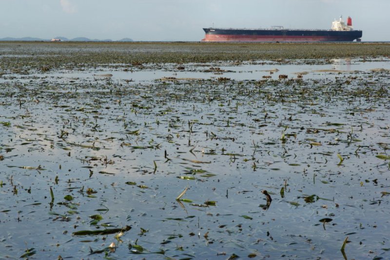 Intertidal zone