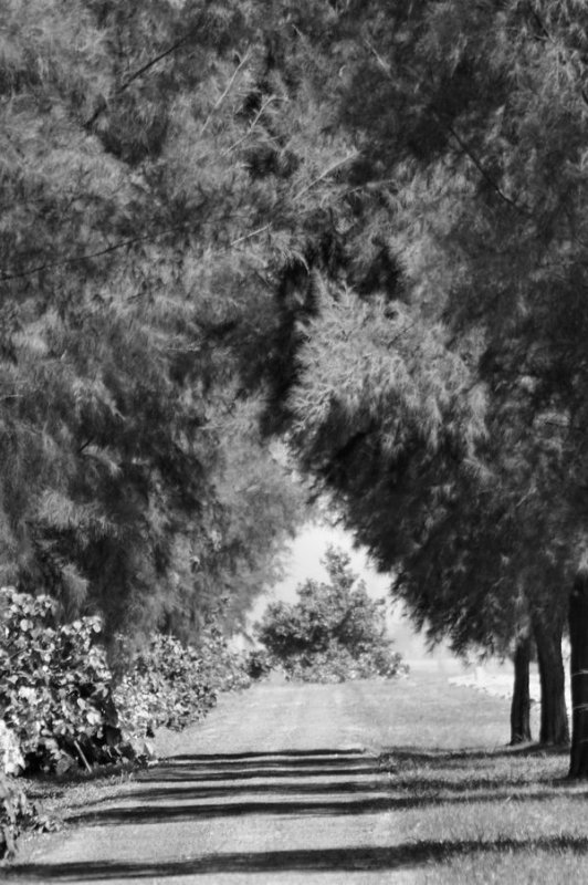 Covered pathway