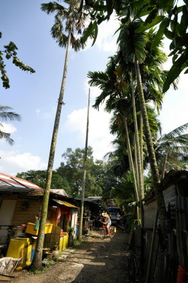 Kampung Lor. Buangkok