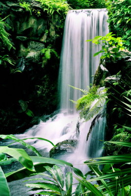 Urban Oasis 2