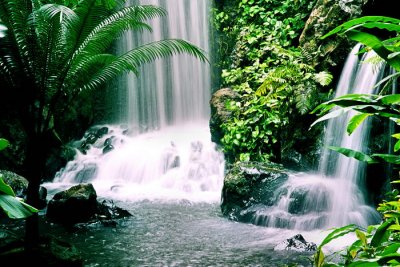 Urban Oasis 4