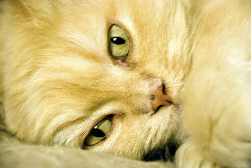 Indifferent