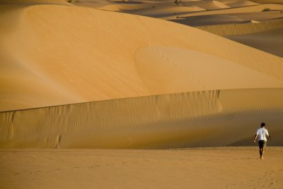 Across the dunes...