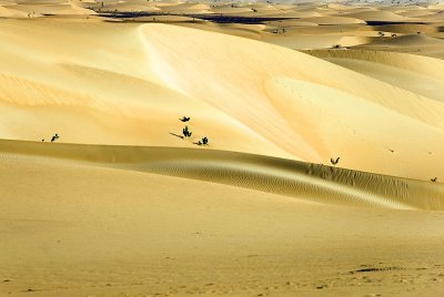 More sand shapes...