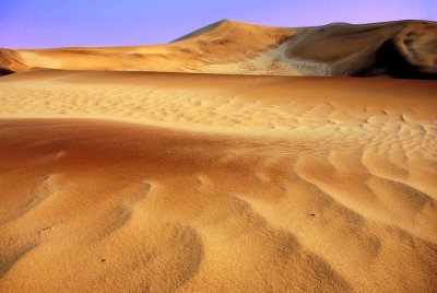 Desert Landscapes