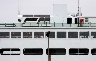 12-30-08 eagle and ferry_1307a.jpg