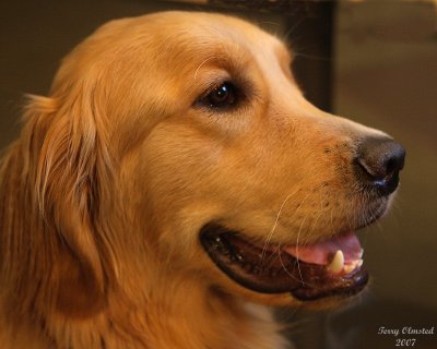 10-14-07 cody_3259.JPG