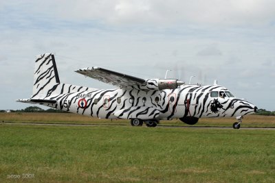 ntm08-N262-01.jpg