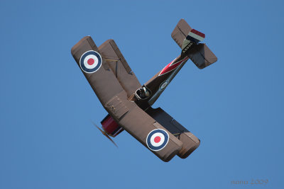 lfa2009IMG_1162.jpg
