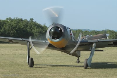 lfa2010-1169.jpg