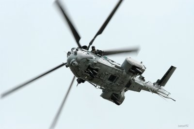 metz07-caracal-4.jpg