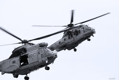 metz07-caracal-et-puma-3.jpg