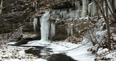 Talleys Branch Creek