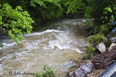 TN Flood10.jpg