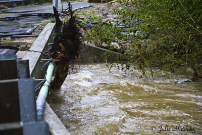 TN Flood 6.jpg
