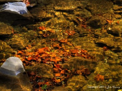 Rock, Leaves and Stream