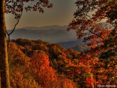 Webb Overlook on Newfound Gap