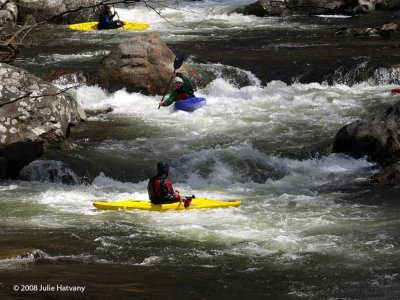 Kayaking The Little River 6