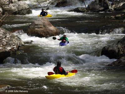 Kayaking The Little River 7