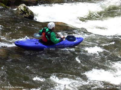 Kayaking The Little River 15